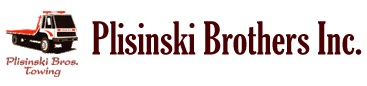 Plisinkski_logo